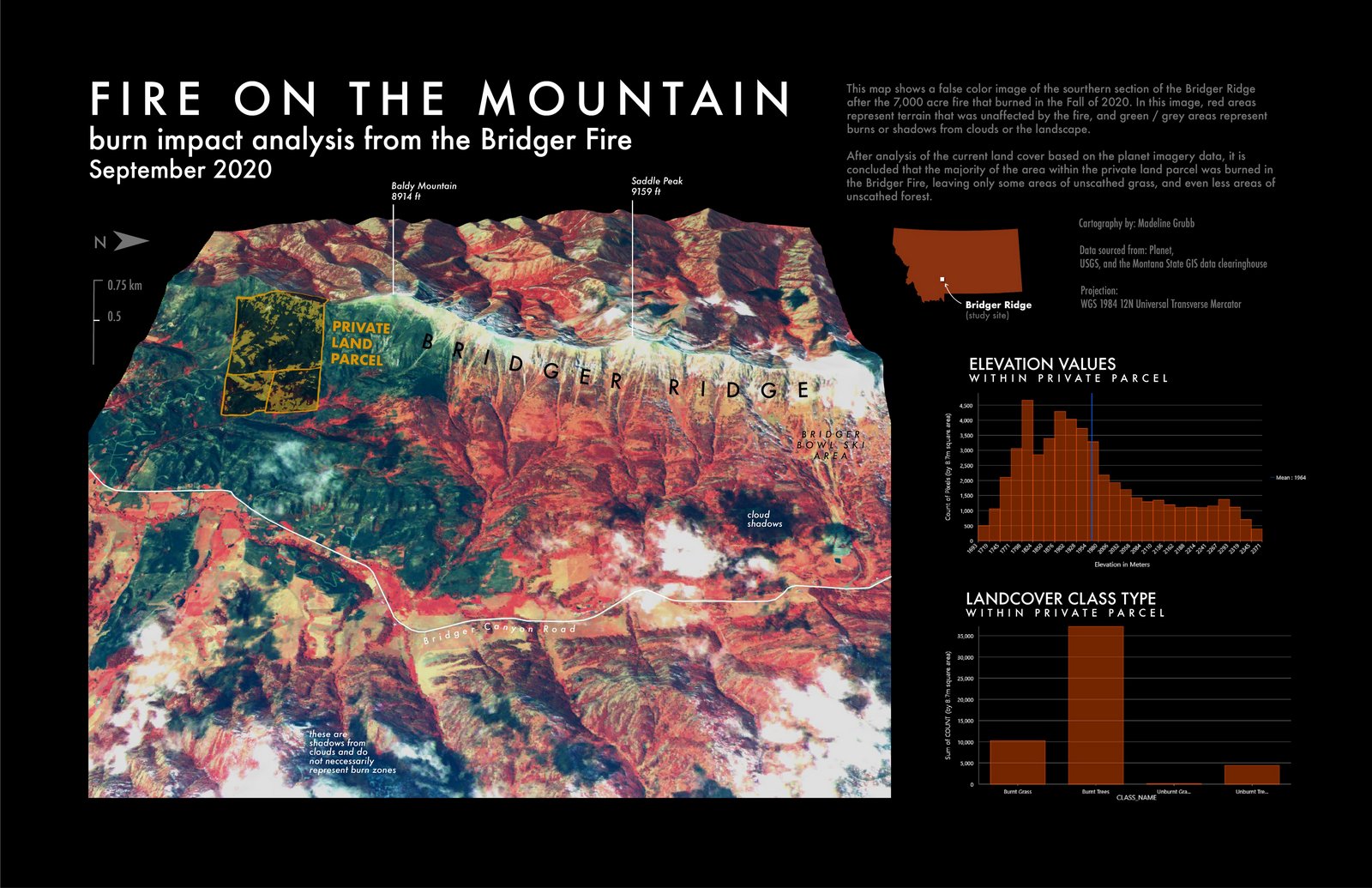 BRIDGER FIRE